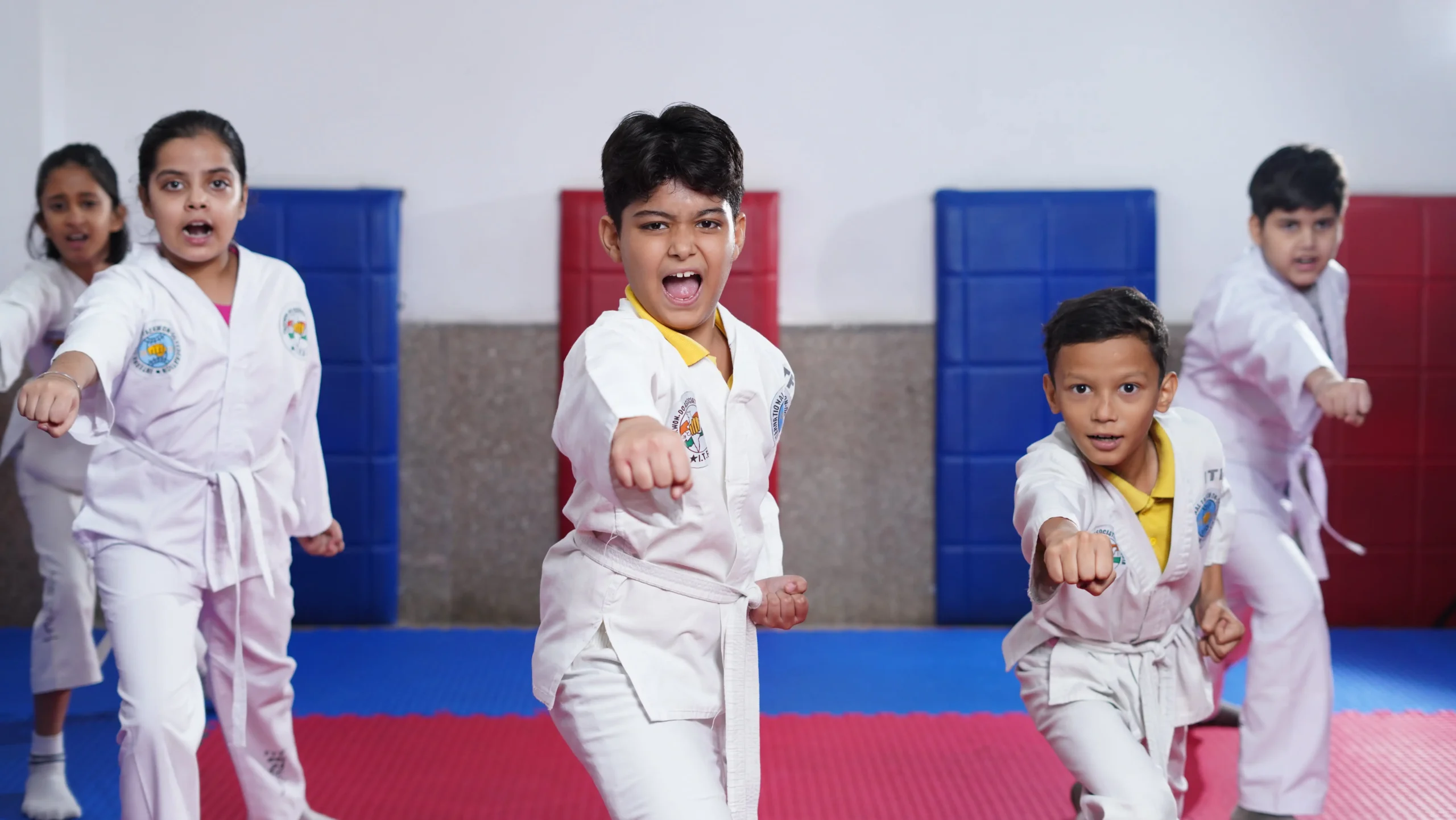 Taekwondo